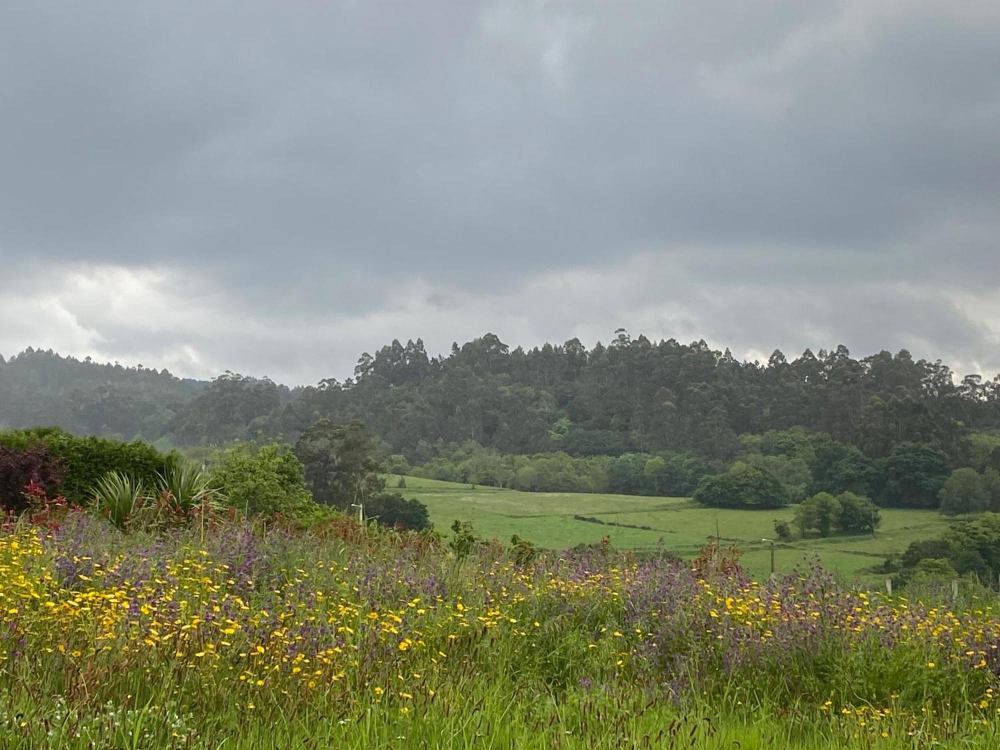 Casa Vanguardista En El Campo Cerca De Santiago Pontevedra Extérieur photo